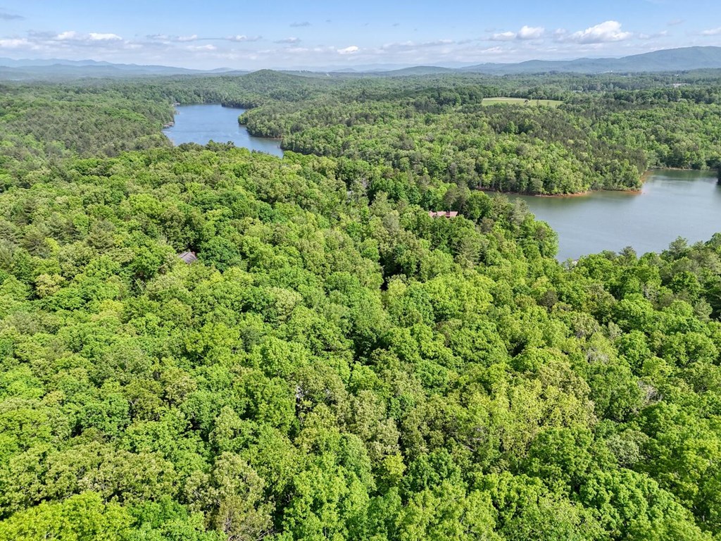 370 Lakepoint Drive, BLAIRSVILLE, Georgia image 49