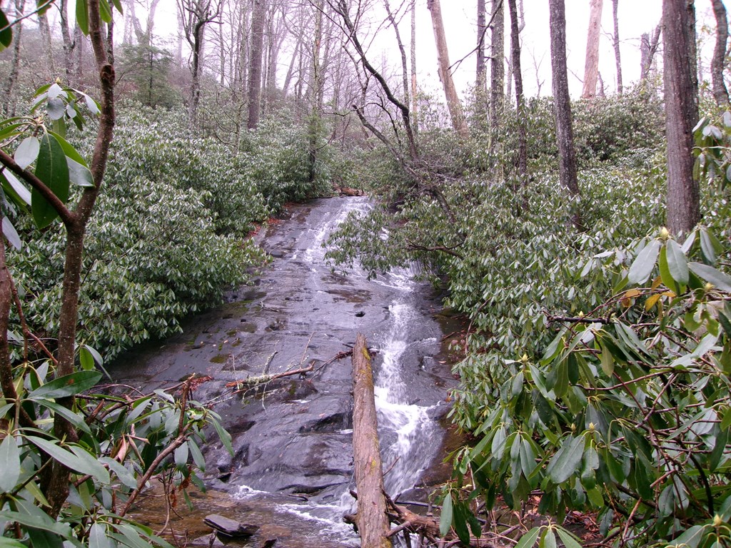 Big Santeetlah, ROBBINSVILLE, North Carolina image 4