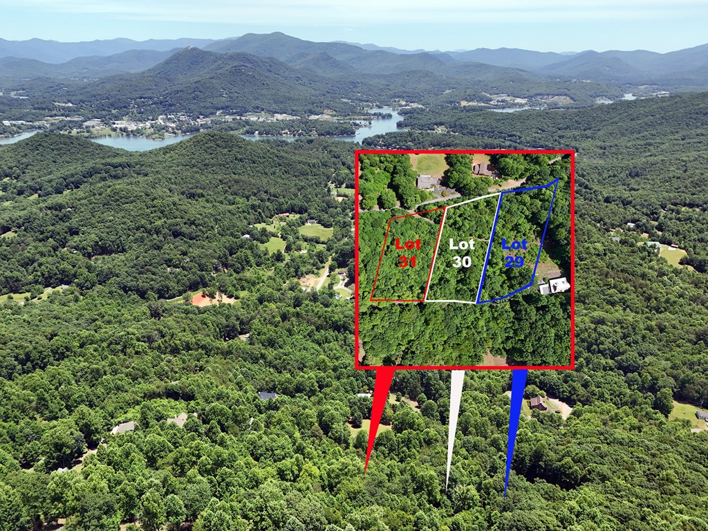 Lot 30 Hidden Summit #30, HIAWASSEE, Georgia image 5