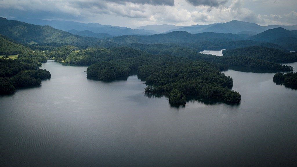 74A Licklog Ridge #74A, HAYESVILLE, North Carolina image 6