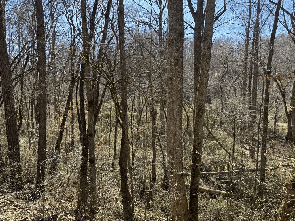 00 Heaton Rd, MARBLE, North Carolina image 8