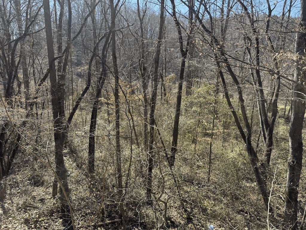 00 Heaton Rd, MARBLE, North Carolina image 9