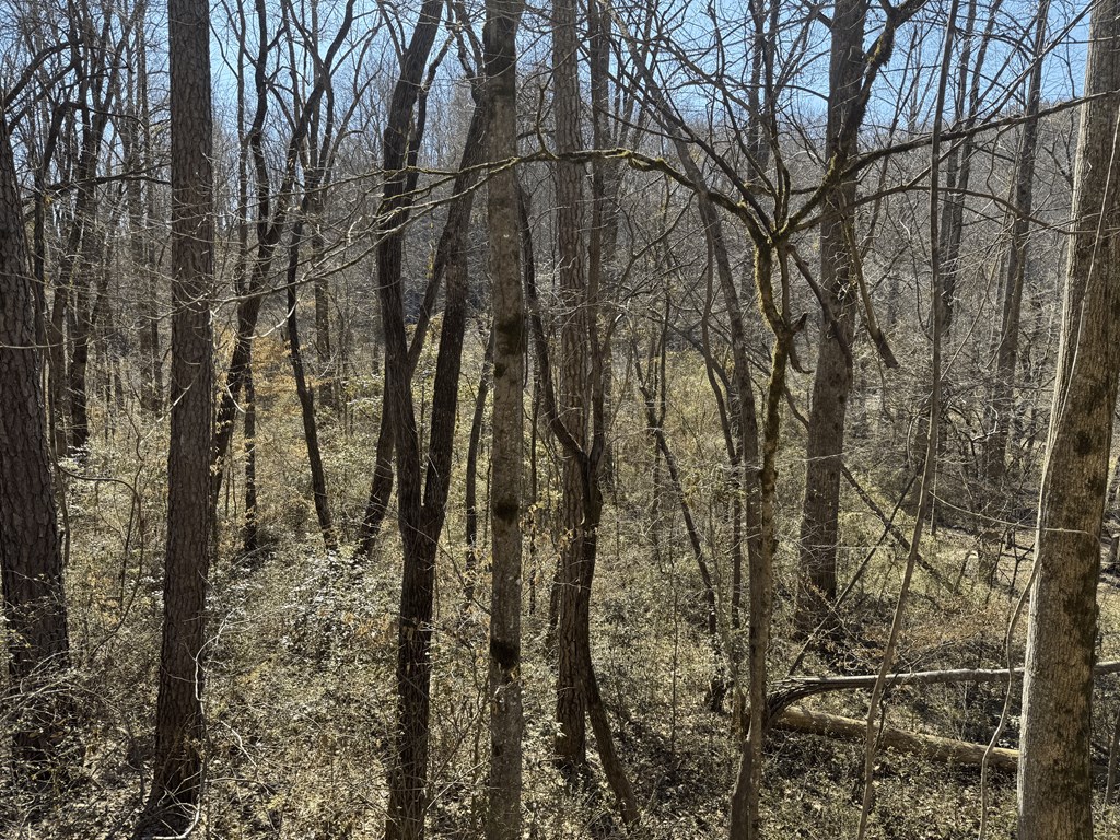 00 Heaton Rd, MARBLE, North Carolina image 7