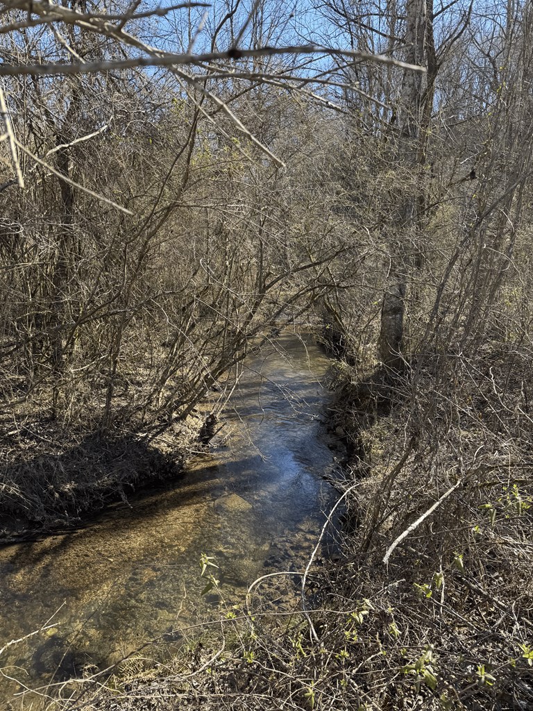 00 Heaton Rd, MARBLE, North Carolina image 10