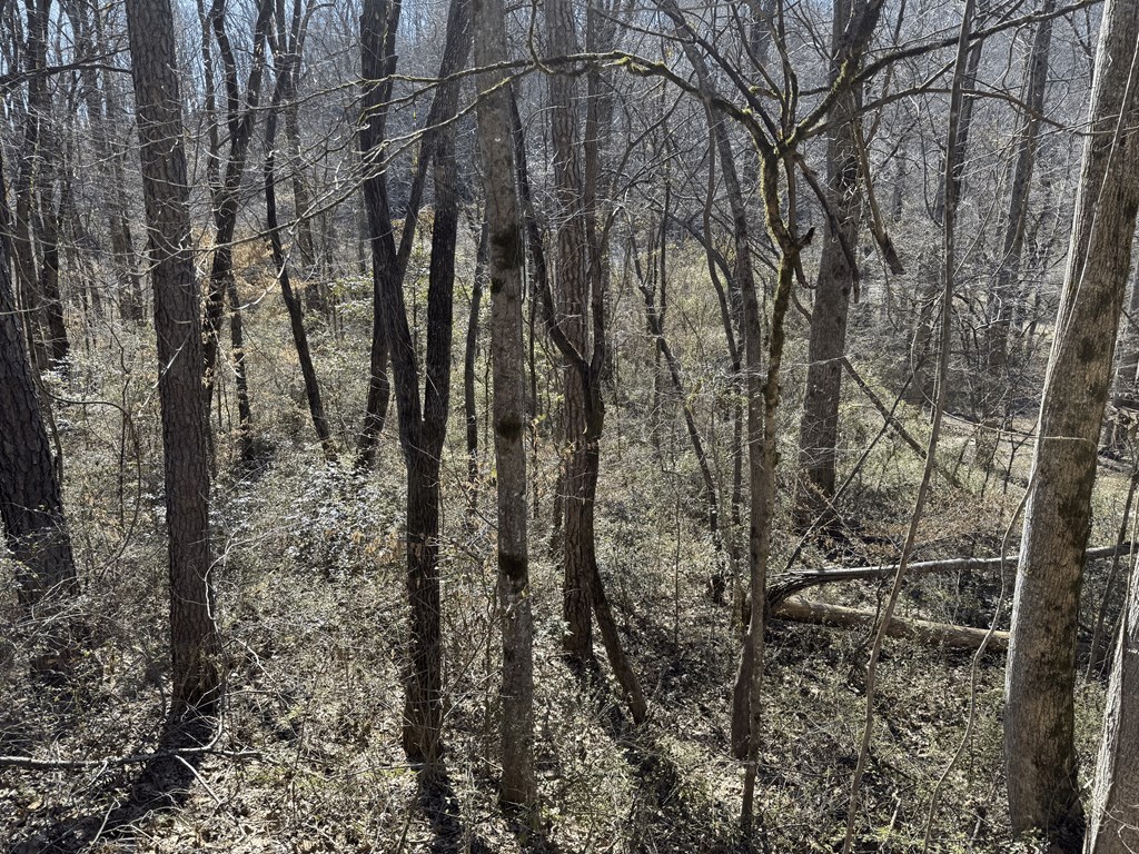 00 Heaton Rd, MARBLE, North Carolina image 11
