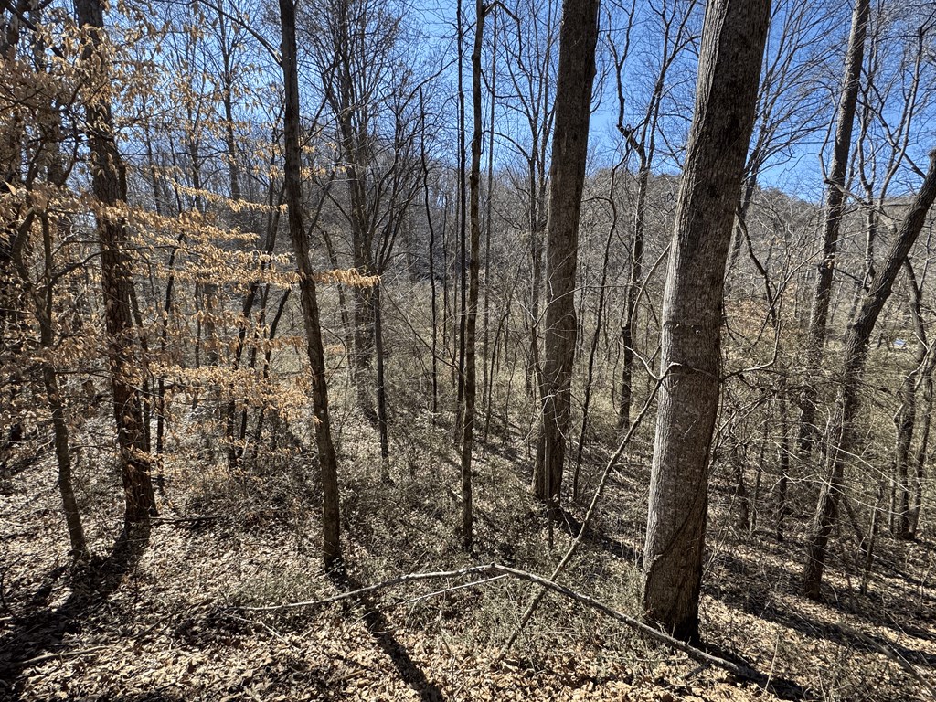 00 Heaton Rd, MARBLE, North Carolina image 15