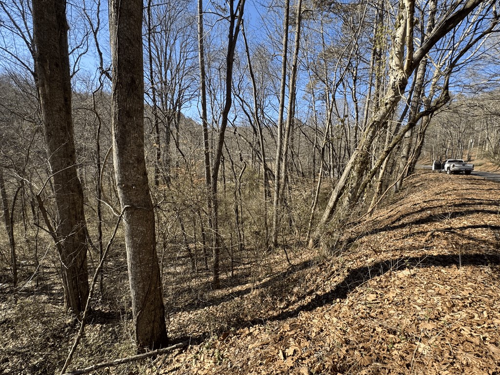 00 Heaton Rd, MARBLE, North Carolina image 6