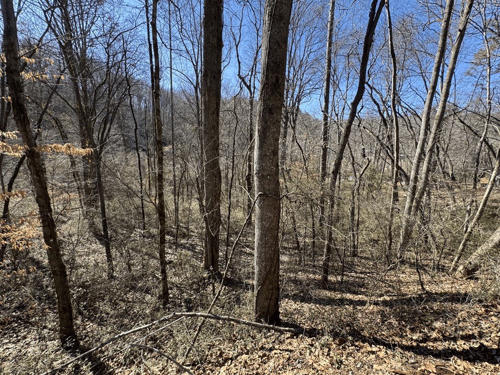 00 Heaton Rd, MARBLE, North Carolina image 16