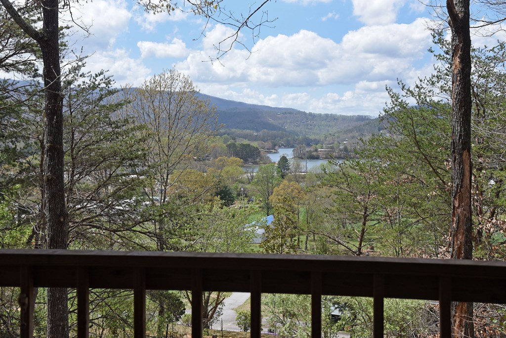 625 Mcridge Road, HIAWASSEE, Georgia image 20