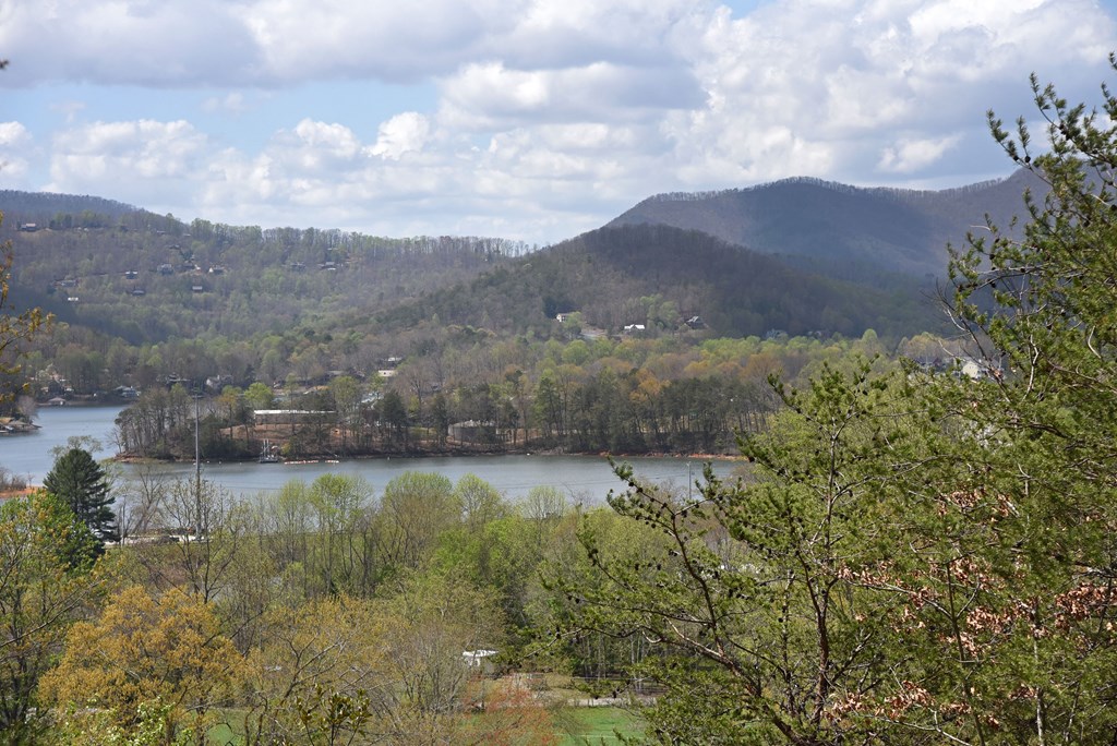 625 Mcridge Road, HIAWASSEE, Georgia image 21