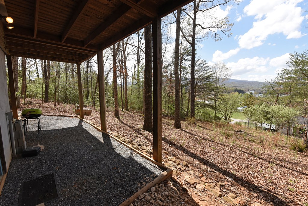 625 Mcridge Road, HIAWASSEE, Georgia image 49
