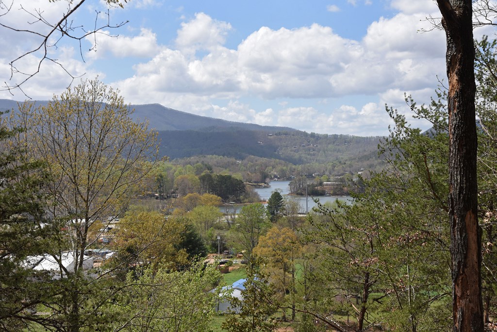 625 Mcridge Road, HIAWASSEE, Georgia image 22