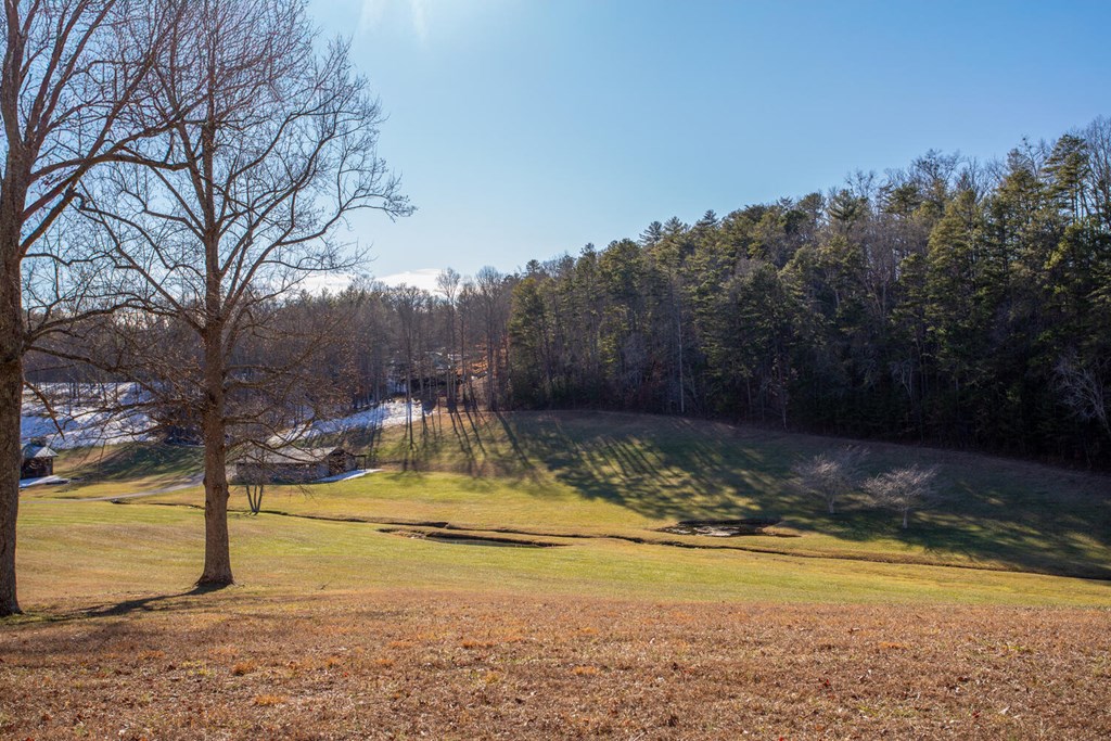 TBD W Nature Valley Trail, MURPHY, Texas image 3