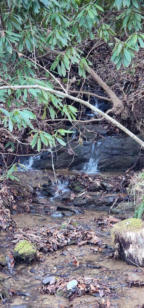 00 Mcmillan Rd #2-27, BRYSON CITY, North Carolina image 24