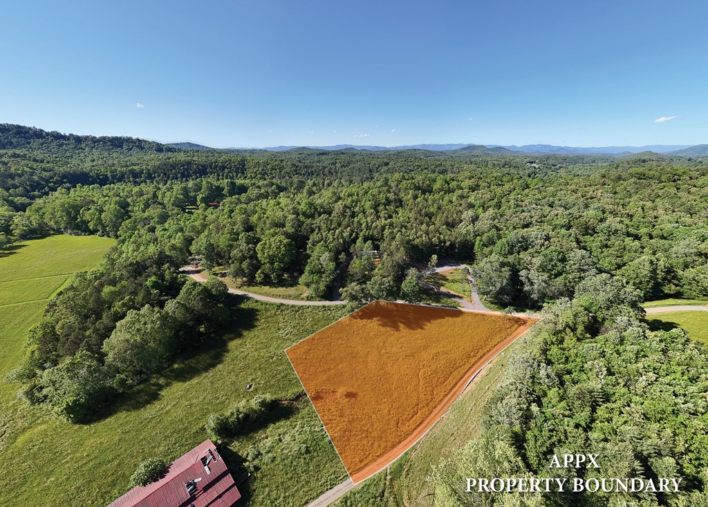 4 Holly Point Dr #4, MURPHY, North Carolina image 4