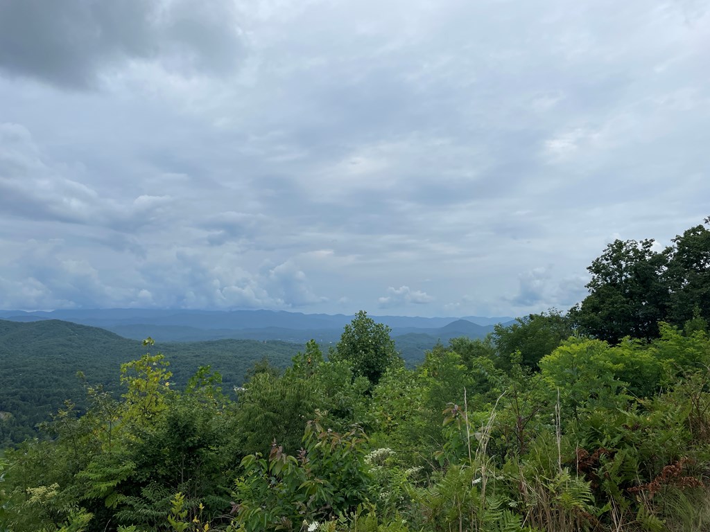 12 13A Brasstown Heights Lane #12 13, BRASSTOWN, North Carolina image 12