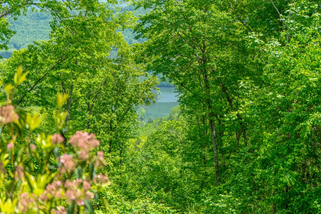 252 Tsali Crossing N, BRYSON CITY, North Carolina image 38