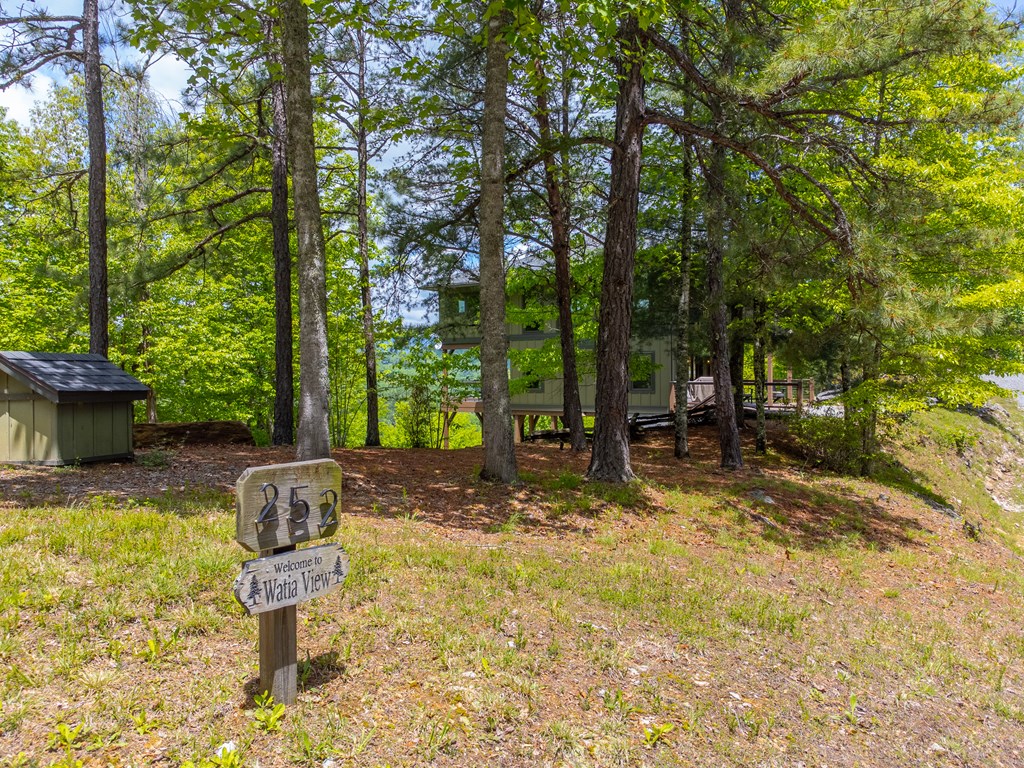 252 Tsali Crossing N, BRYSON CITY, North Carolina image 44