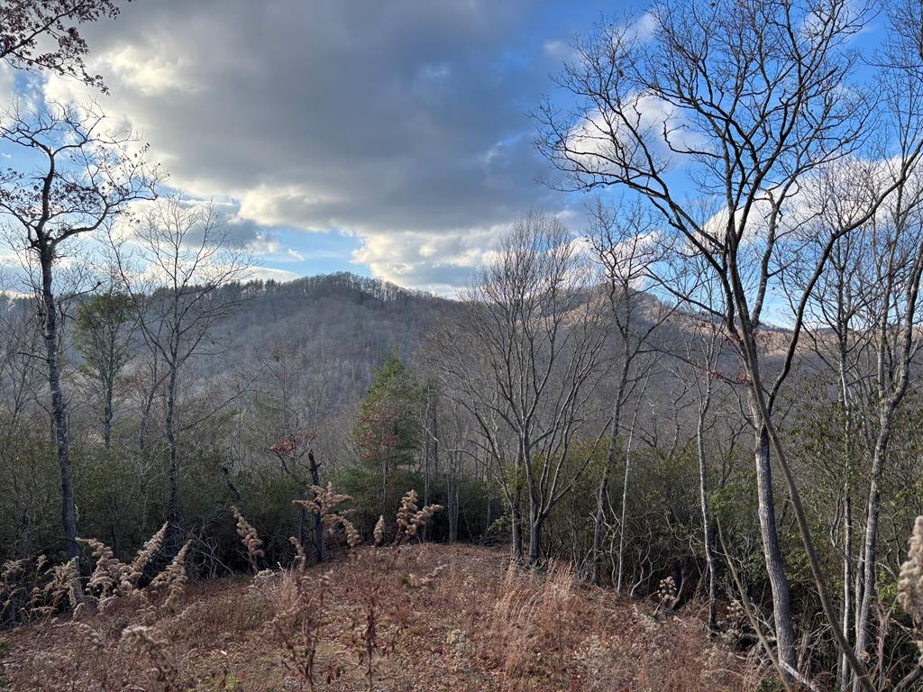 Photo 1 of 9 — 2.02 AC Viewforth Unit 52, NANTAHALA, NC 28781
