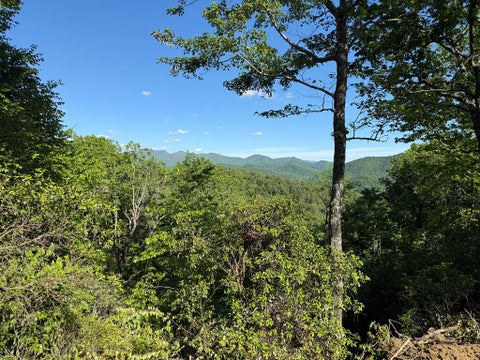 Vacant Land For Sale - 294 Shearer Ridge #E,3<br/> HAYESVILLE, NC 28904