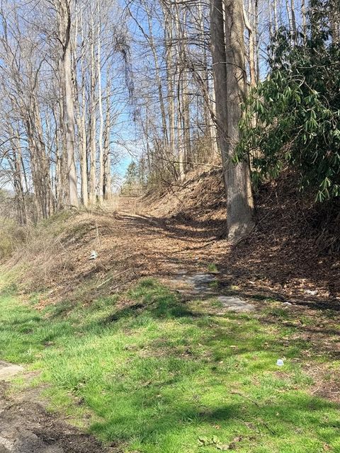 Vacant Land For Sale - 1021 Us Hwy 19<br/> Macon County, TOPTON, NC 28781