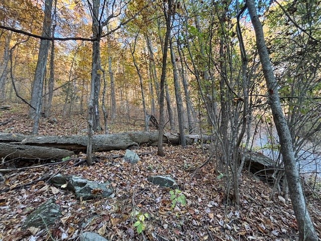 Lot 4 Outlook Road #4, MURPHY, North Carolina image 4