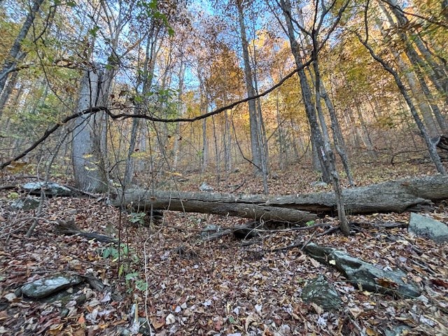 Lot 4 Outlook Road #4, MURPHY, North Carolina image 20