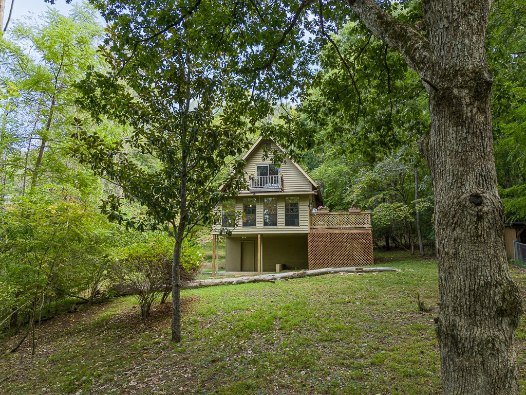 1693 Settlement Road, YOUNG HARRIS, Georgia image 35