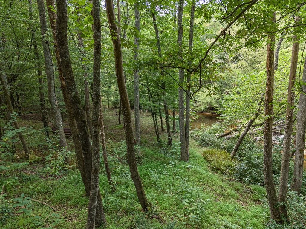 1693 Settlement Road, YOUNG HARRIS, Georgia image 36