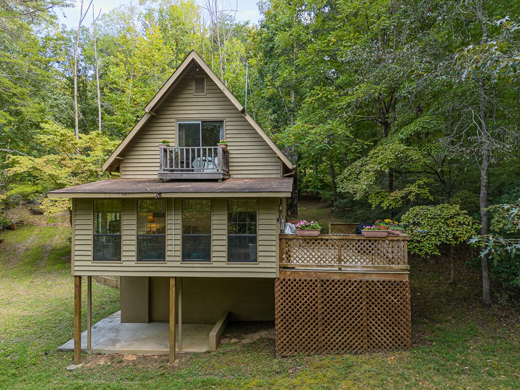 1693 Settlement Road, YOUNG HARRIS, Georgia image 2