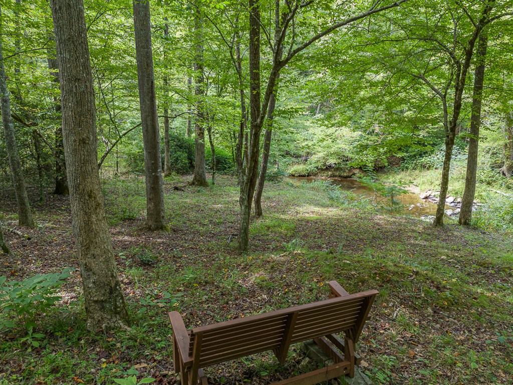 1693 Settlement Road, YOUNG HARRIS, Georgia image 38