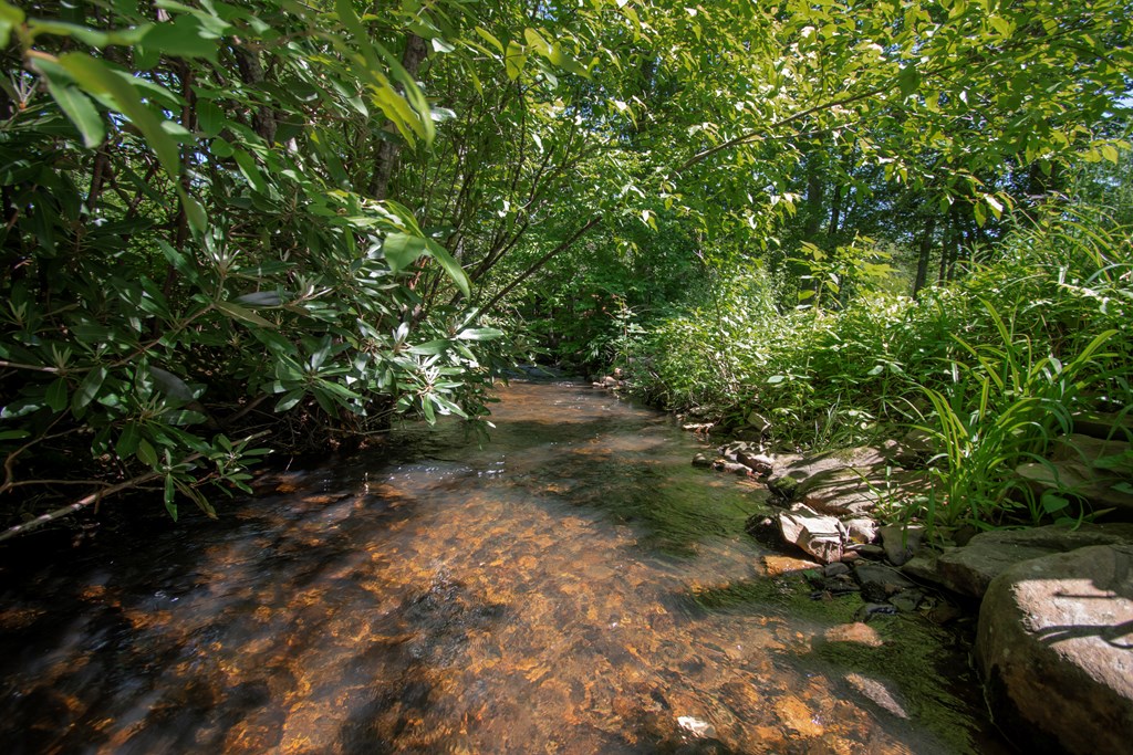 56 Deer Run Rd, ROBBINSVILLE, North Carolina image 2