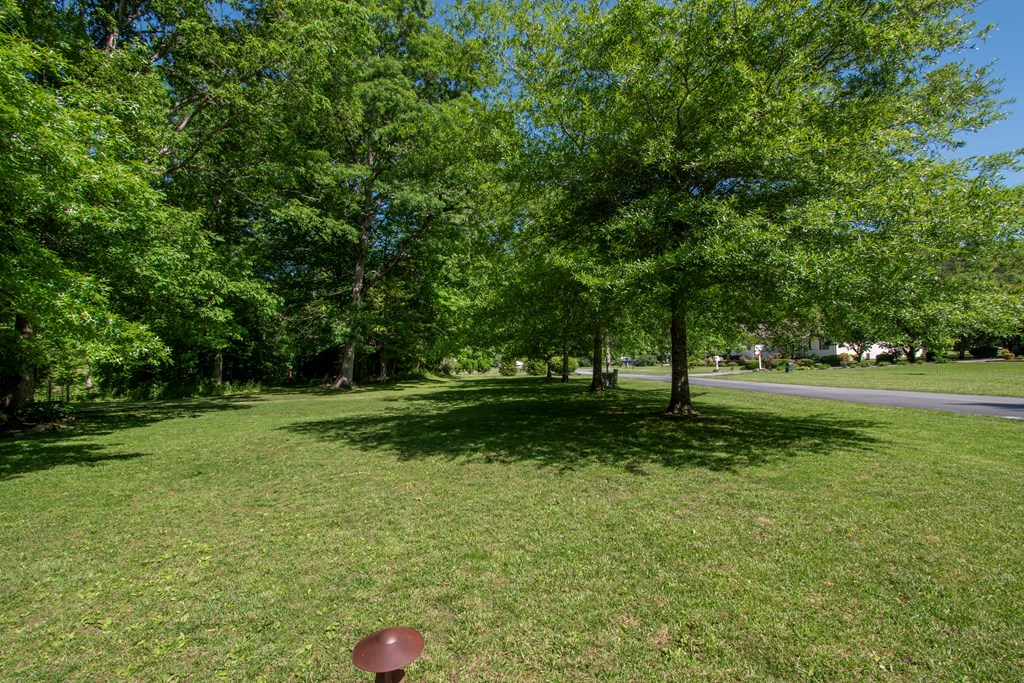56 Deer Run Rd, ROBBINSVILLE, North Carolina image 48