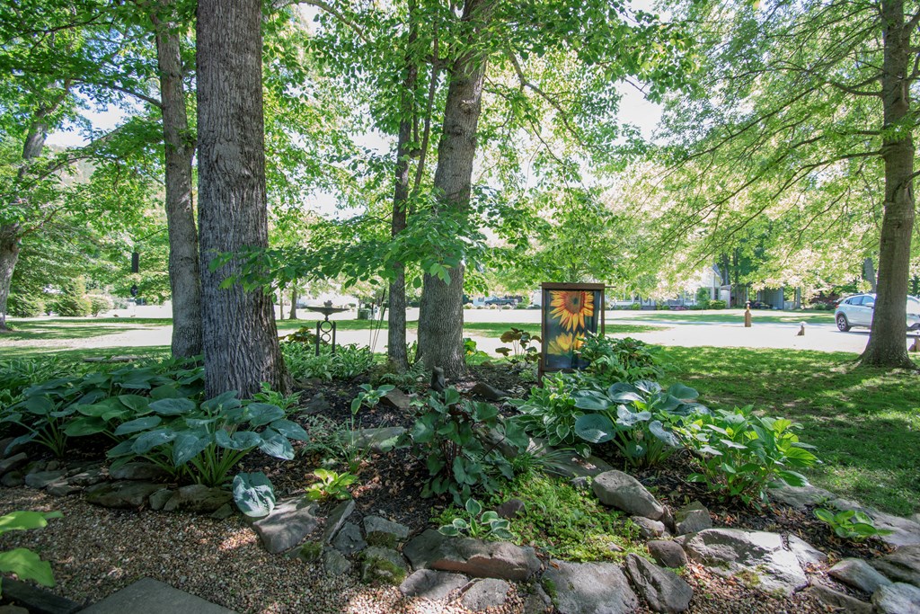 56 Deer Run Rd, ROBBINSVILLE, North Carolina image 6