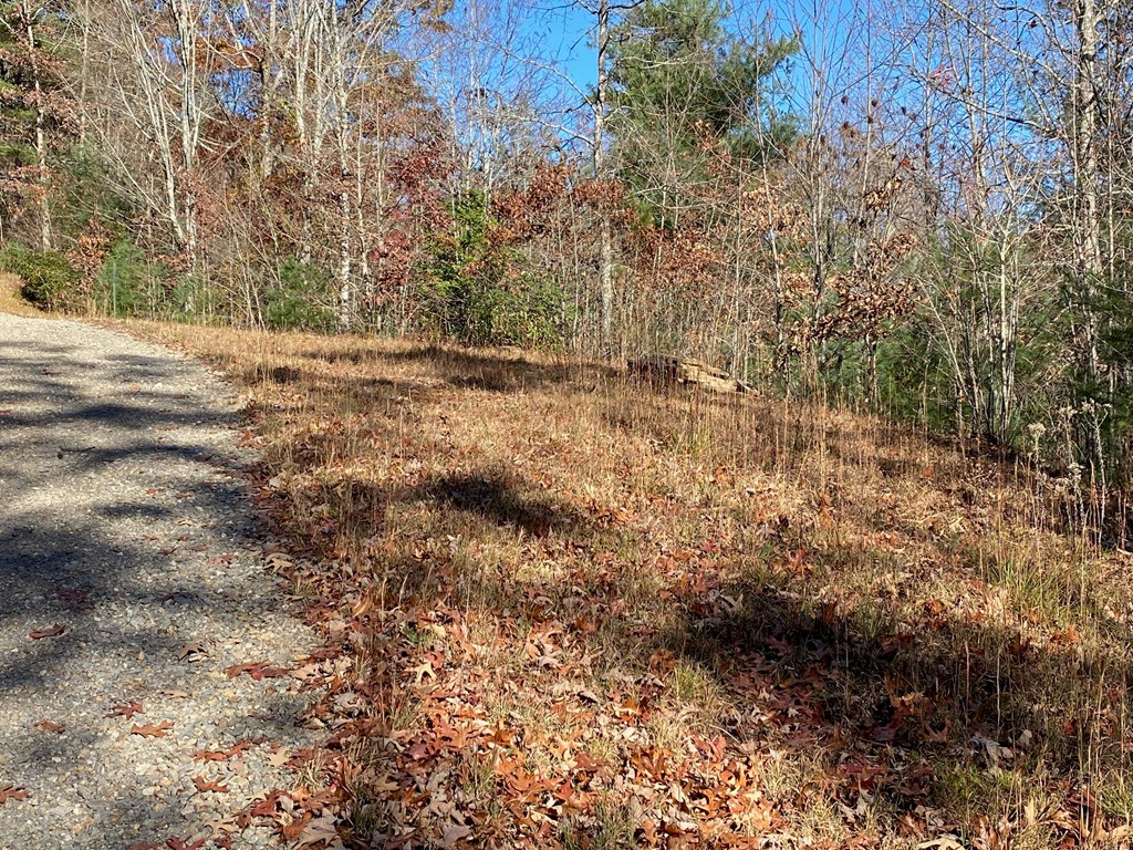 Lot 24 Thimble Loop #24, MURPHY, North Carolina image 4