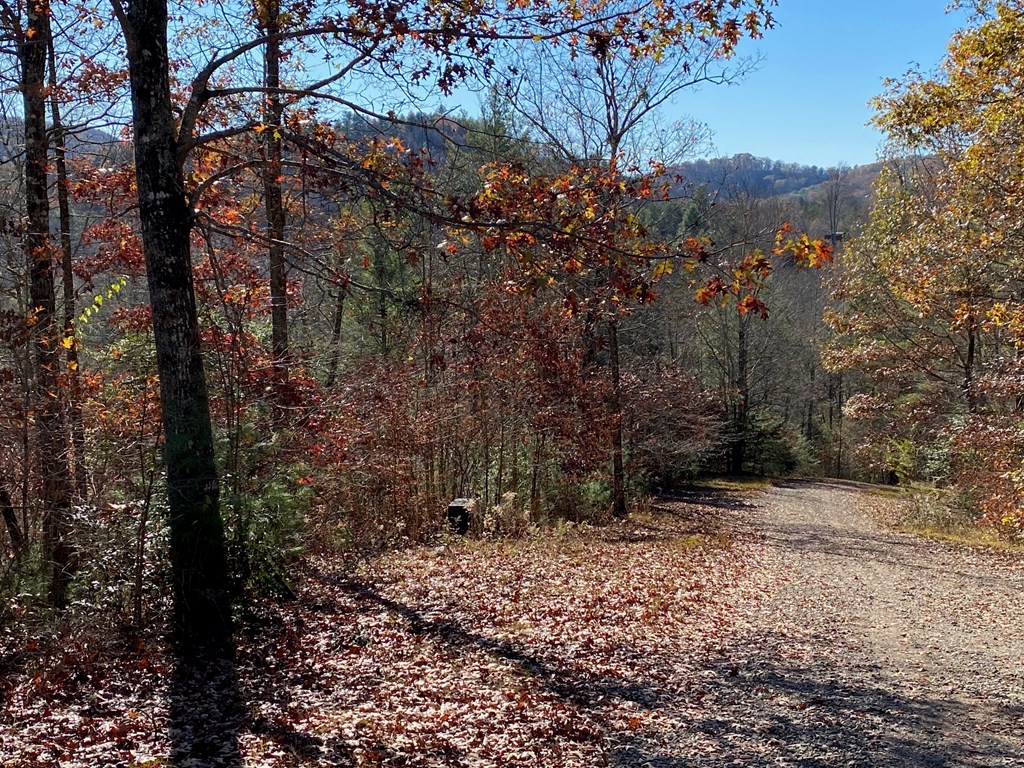 Lot 24 Thimble Loop #24, MURPHY, North Carolina image 3