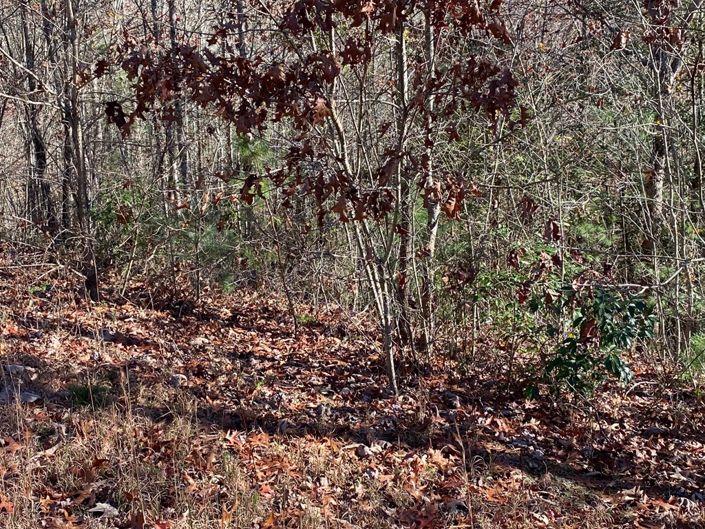 Lot 24 Thimble Loop #24, MURPHY, North Carolina image 5