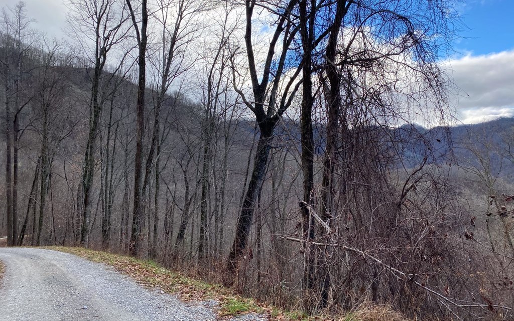 J-1 Georgianna Lane, BRYSON CITY, North Carolina image 7