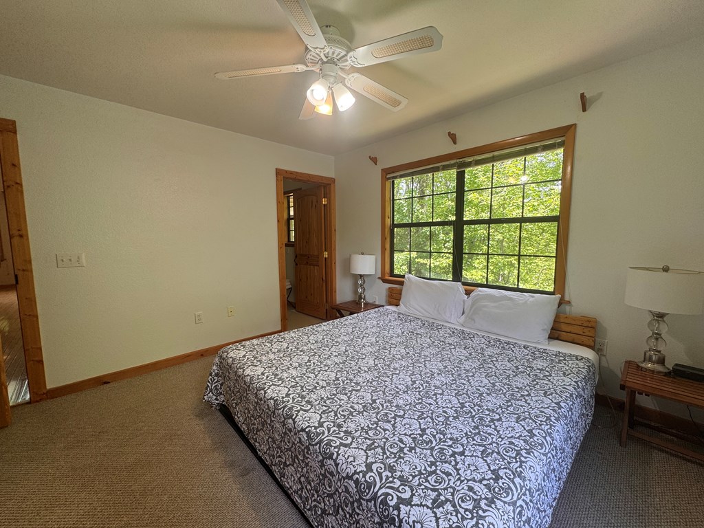 256 High Top Lane, ANDREWS, North Carolina image 19