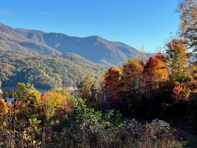 Bailey Fields Rd, ROBBINSVILLE, North Carolina image 6