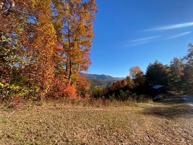 Bailey Fields Rd, ROBBINSVILLE, North Carolina image 9