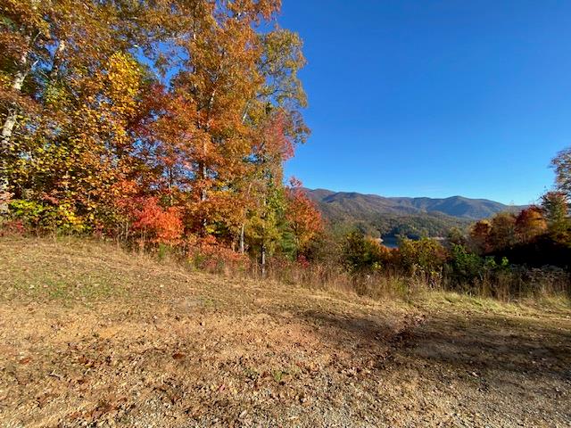 Bailey Fields Rd, ROBBINSVILLE, North Carolina image 10