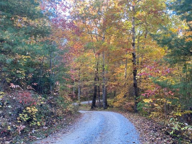 Bailey Fields Rd, ROBBINSVILLE, North Carolina image 14