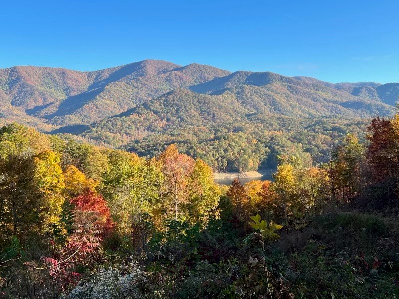 Bailey Fields Rd, ROBBINSVILLE, North Carolina image 8