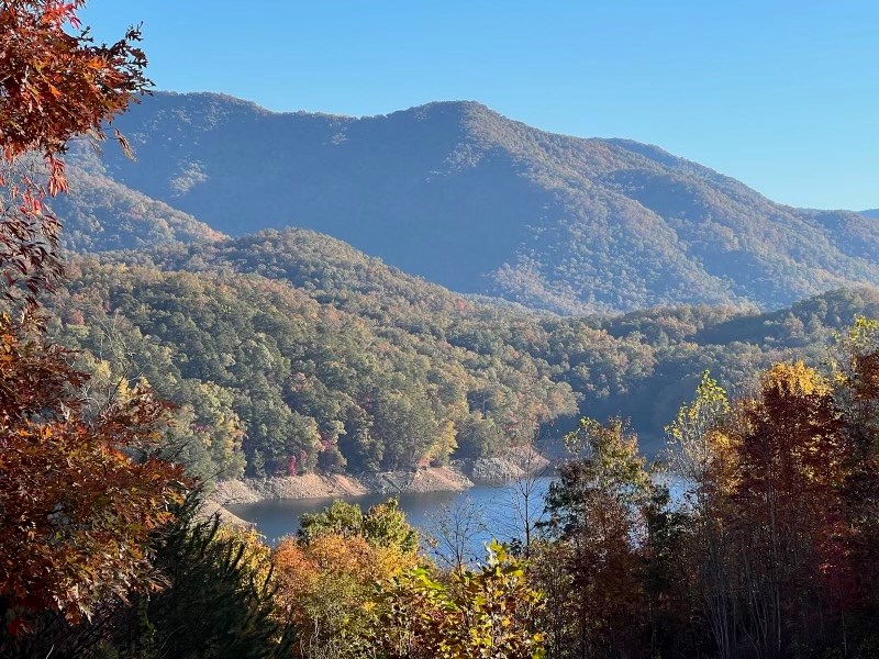 Bailey Fields Rd, ROBBINSVILLE, North Carolina image 3