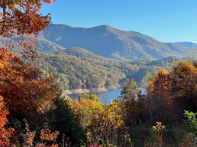 Bailey Fields Rd, ROBBINSVILLE, North Carolina image 1