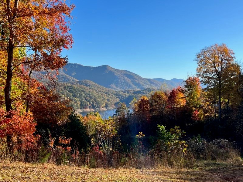 Bailey Fields Rd, ROBBINSVILLE, North Carolina image 4