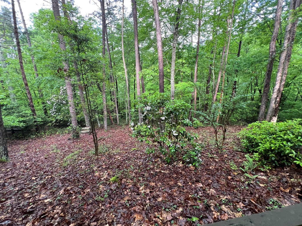 195 Kinwood Trail, MURPHY, North Carolina image 14