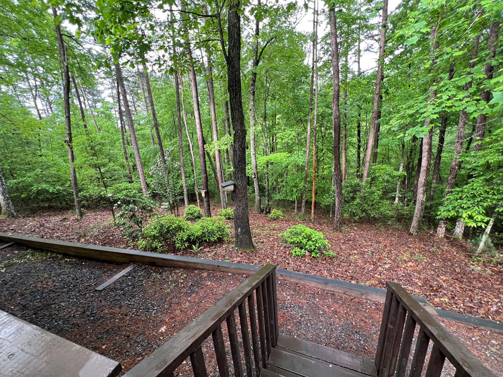 195 Kinwood Trail, MURPHY, North Carolina image 9