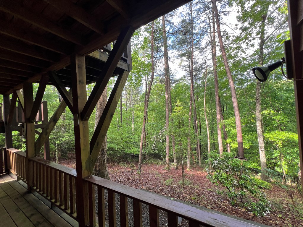 195 Kinwood Trail, MURPHY, North Carolina image 46
